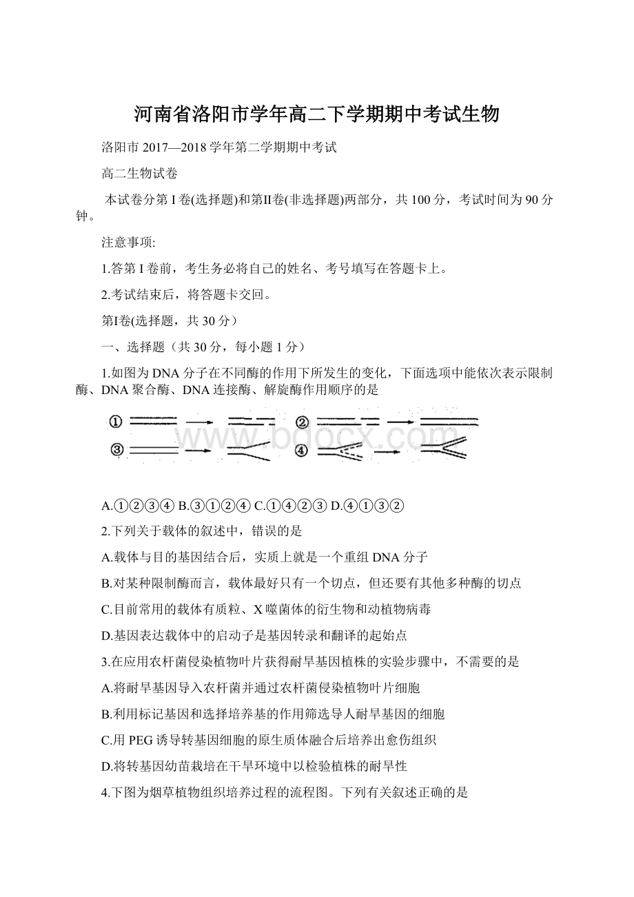 河南省洛阳市学年高二下学期期中考试生物Word下载.docx