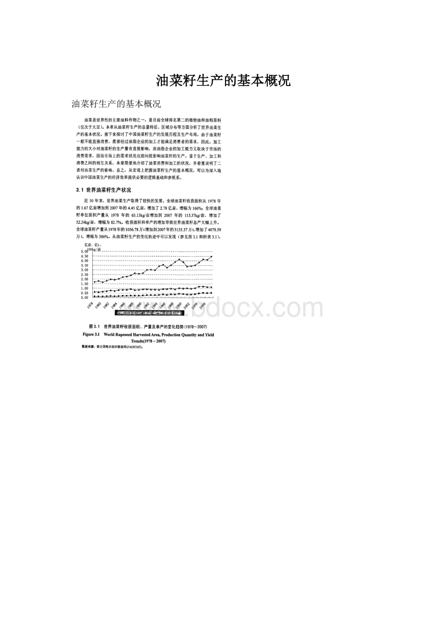 油菜籽生产的基本概况.docx_第1页