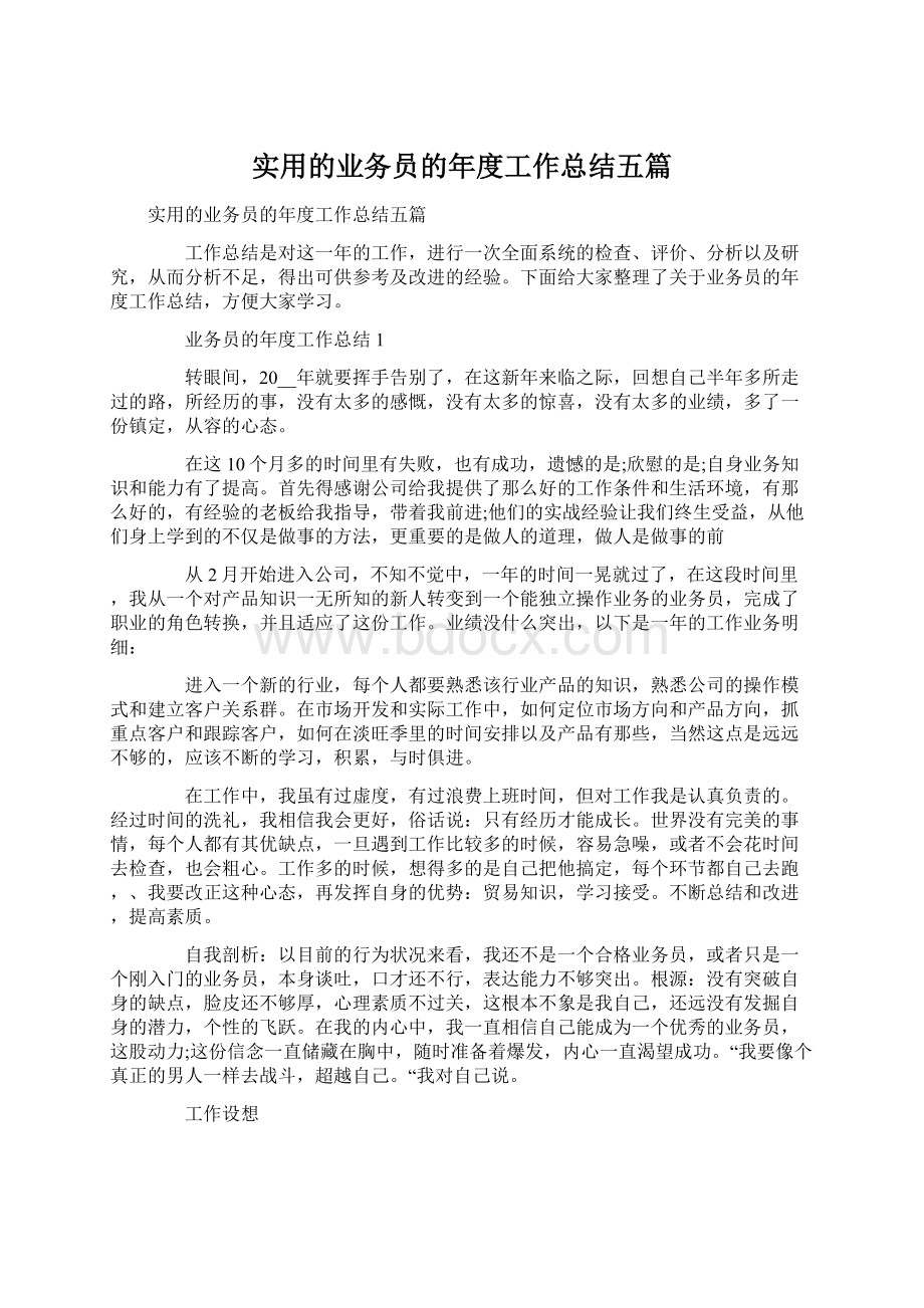 实用的业务员的年度工作总结五篇Word文档下载推荐.docx