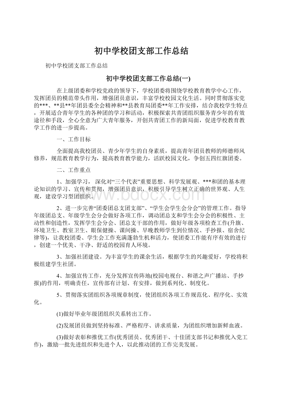 初中学校团支部工作总结.docx