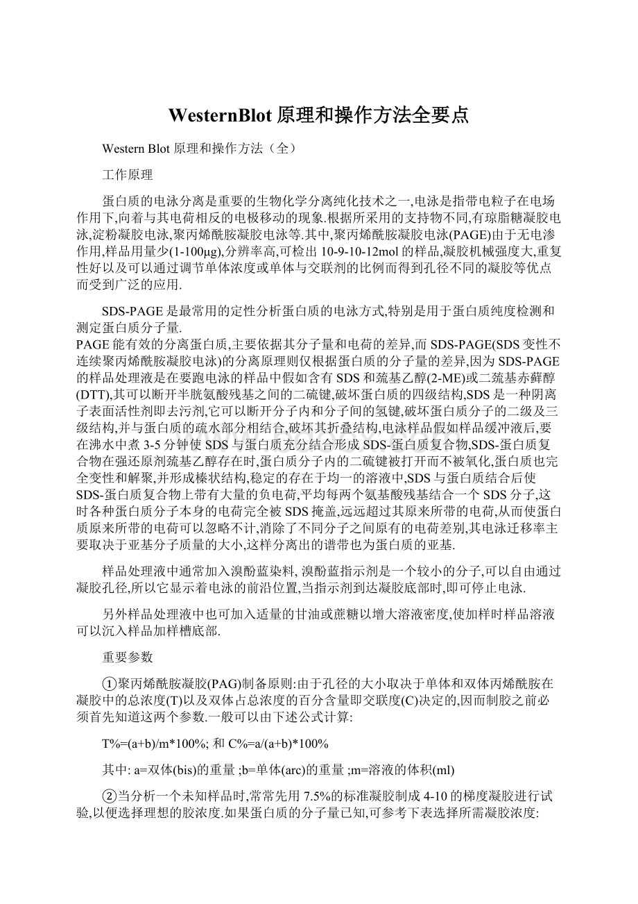 WesternBlot原理和操作方法全要点Word文档下载推荐.docx