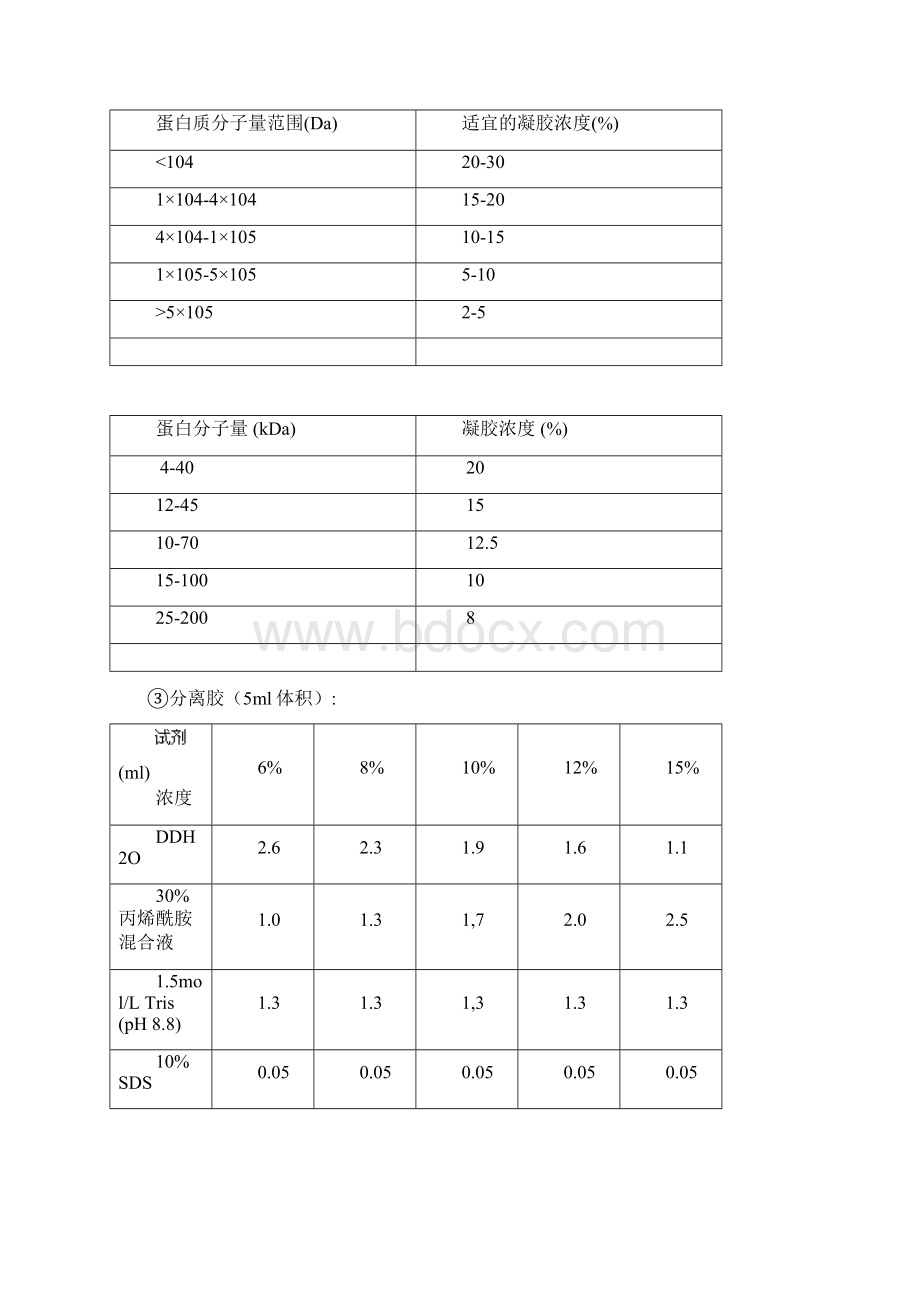 WesternBlot原理和操作方法全要点.docx_第2页