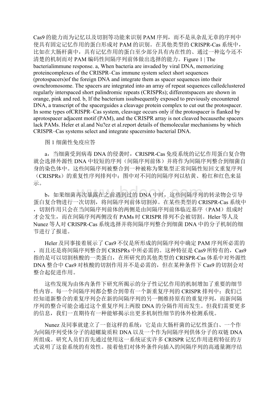 细菌是如何从入侵者那里获得间隔序列.docx_第2页