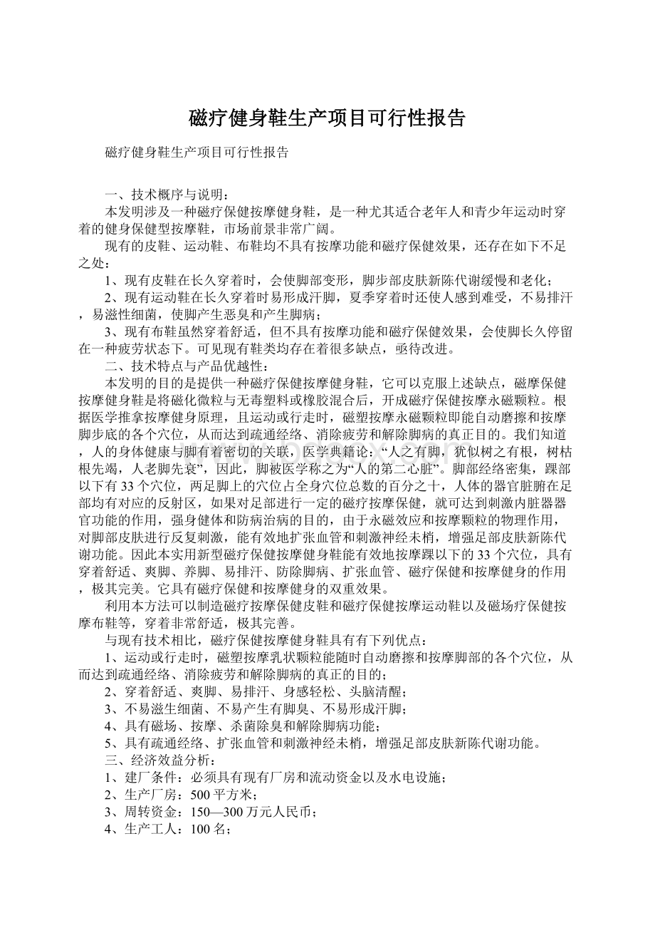 磁疗健身鞋生产项目可行性报告.docx_第1页