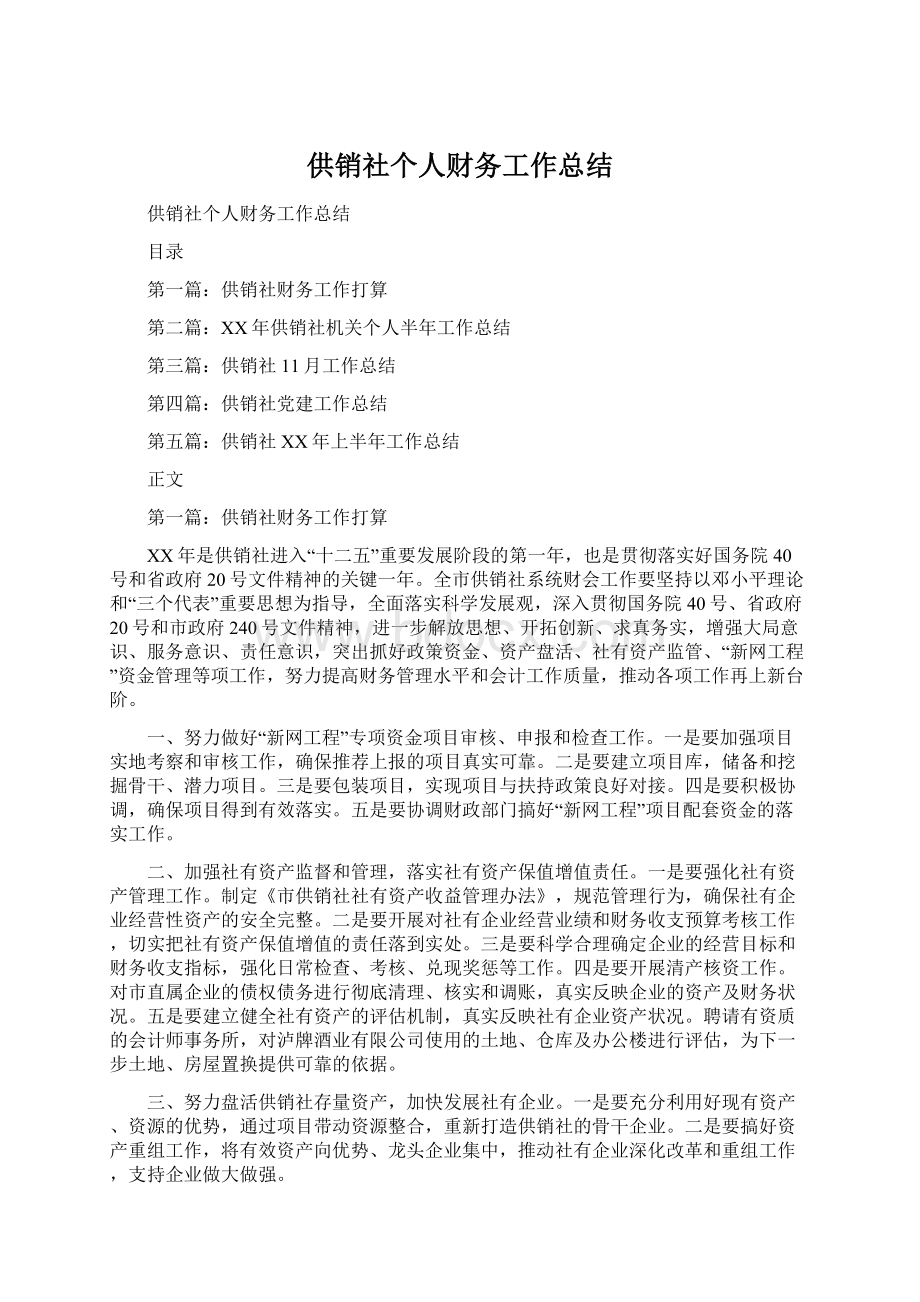 供销社个人财务工作总结Word文件下载.docx_第1页