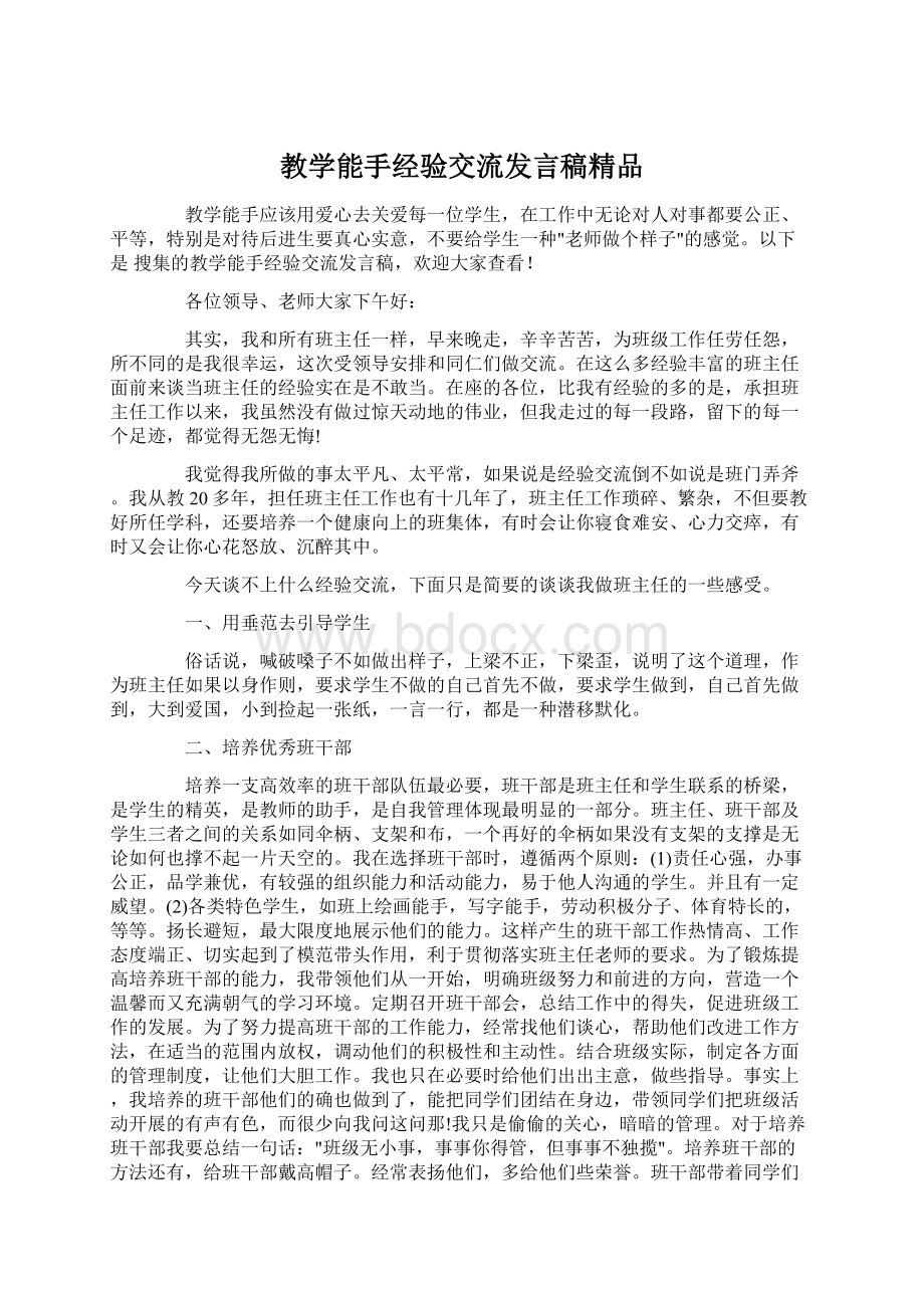 教学能手经验交流发言稿精品Word文件下载.docx