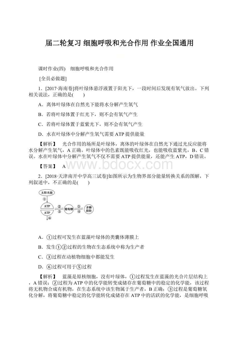 届二轮复习 细胞呼吸和光合作用 作业全国通用.docx_第1页