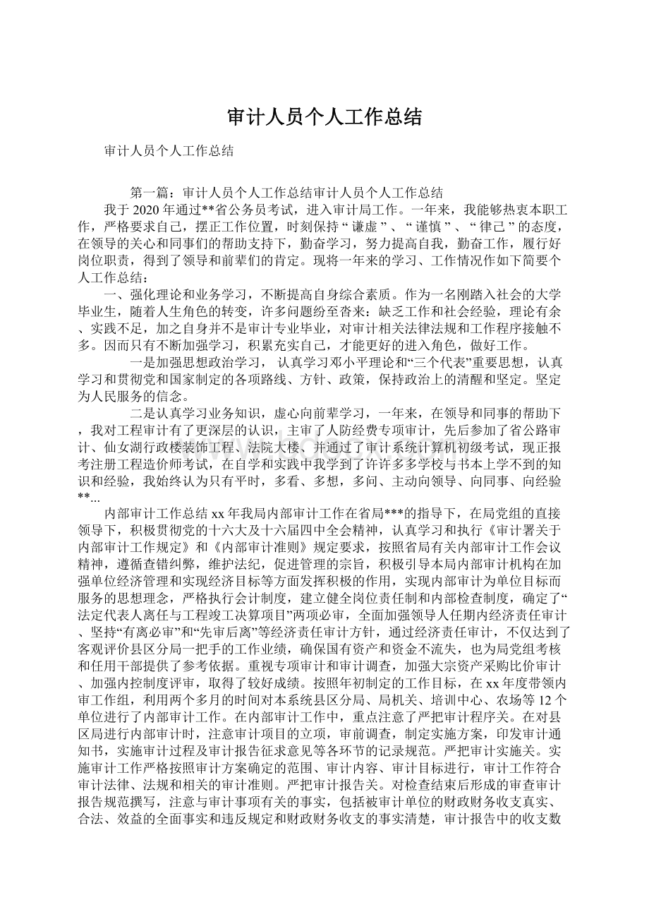 审计人员个人工作总结Word格式文档下载.docx_第1页