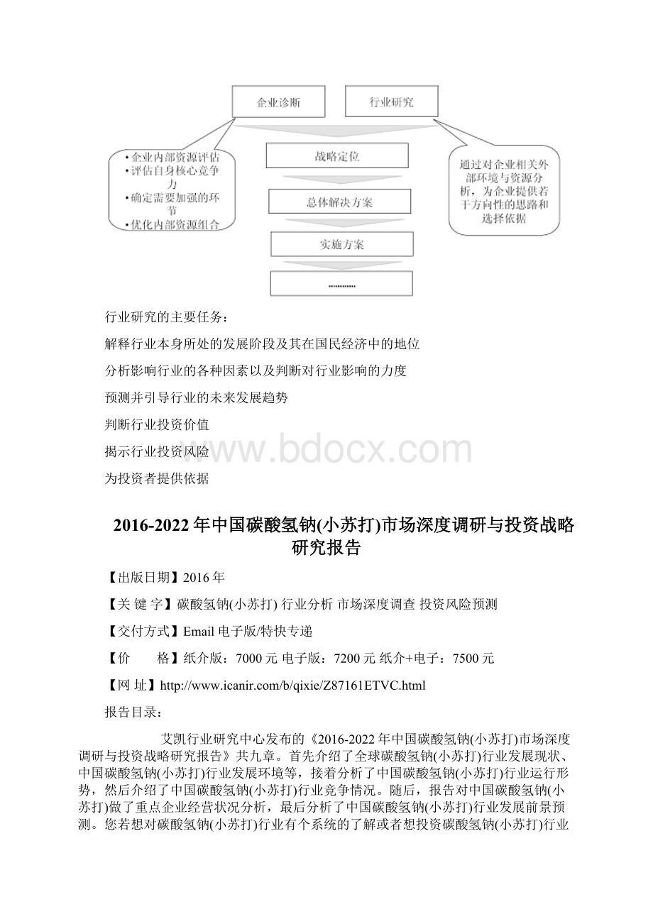 中国碳酸氢钠小苏打市场深度调研与投资战略研究报告.docx_第3页