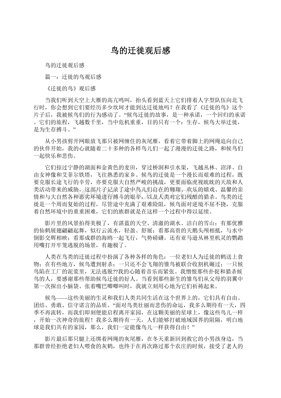 鸟的迁徙观后感Word下载.docx_第1页