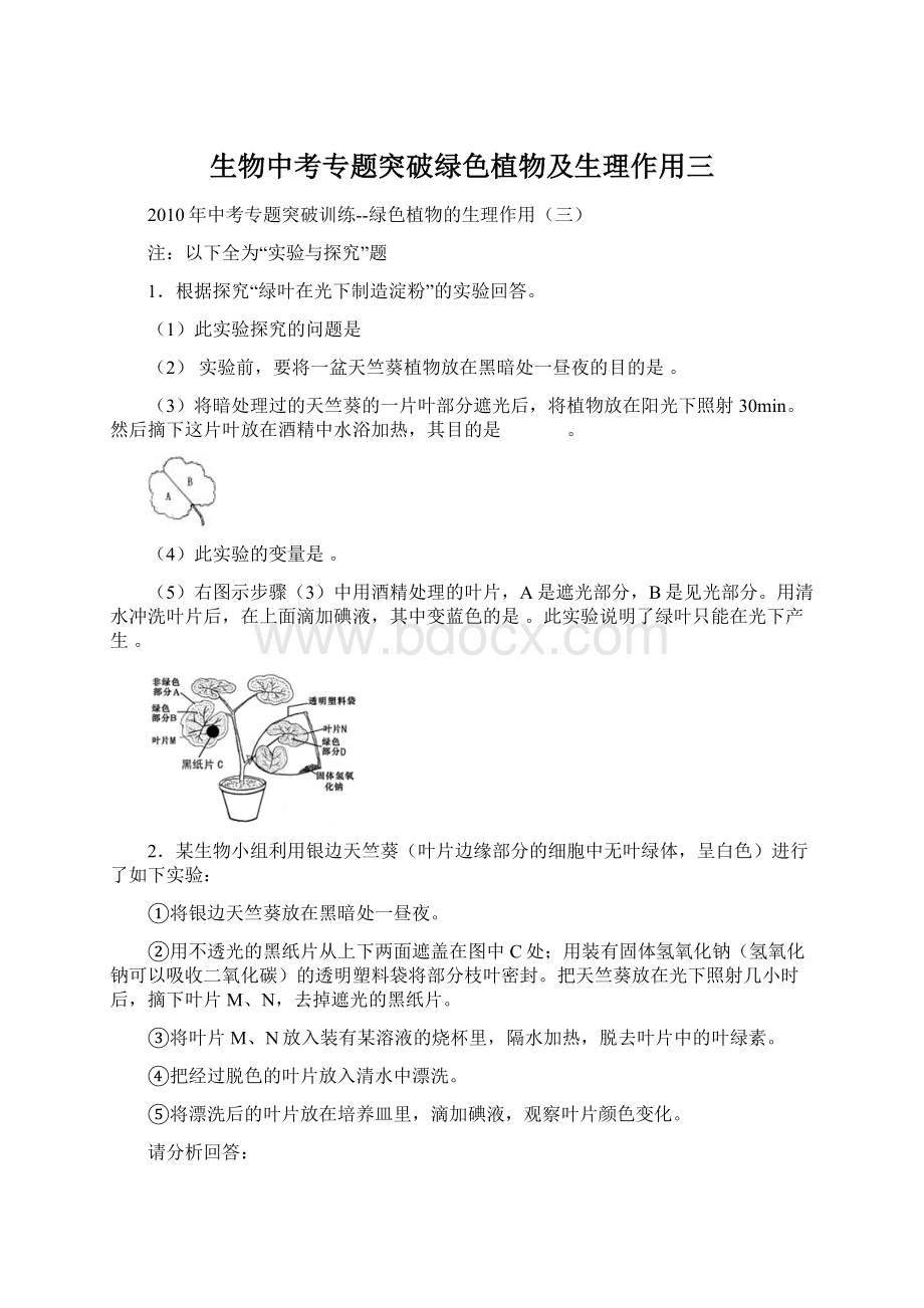 生物中考专题突破绿色植物及生理作用三.docx