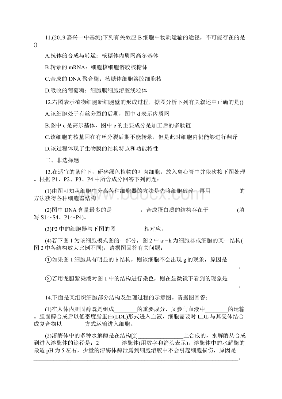 高考生物一轮复习细胞器专项练习试题带答案精品教育docWord文档格式.docx_第3页