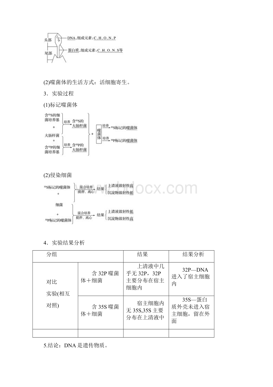 高考生物浙科版总复习 第五单元 第18讲 核酸是遗传物质的证据.docx_第2页