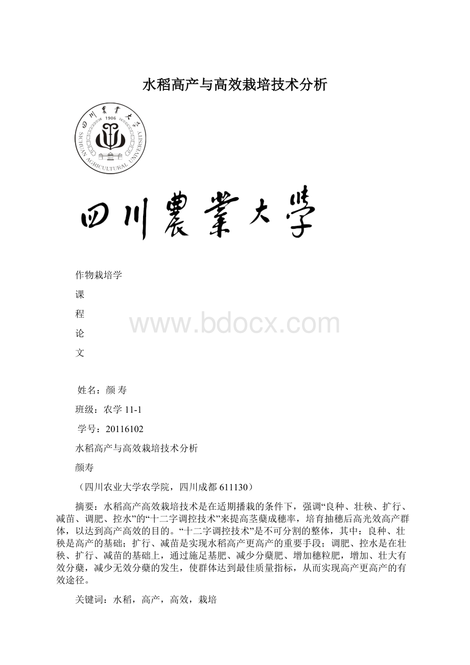 水稻高产与高效栽培技术分析Word下载.docx