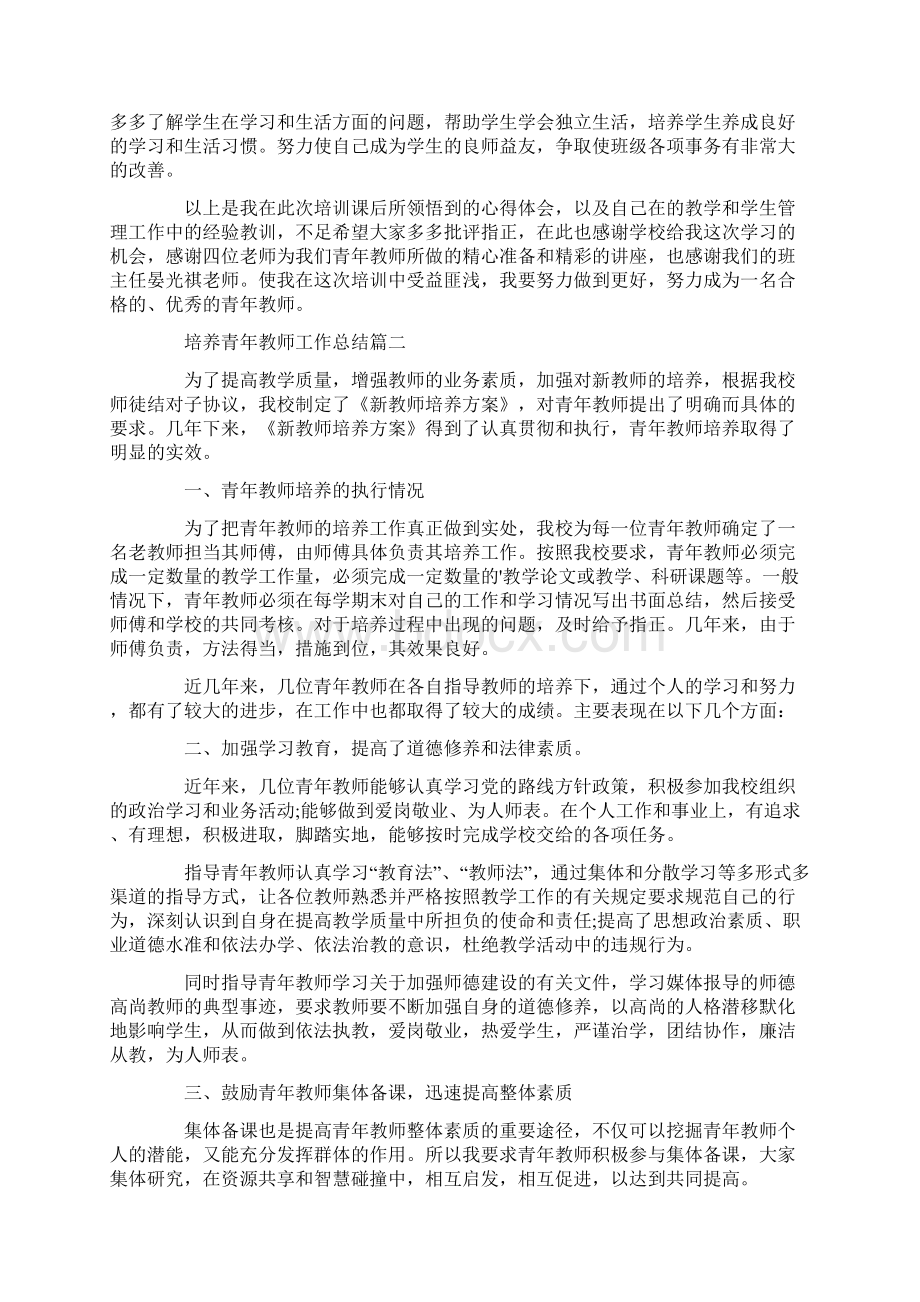 培养青年教师的工作总结.docx_第3页