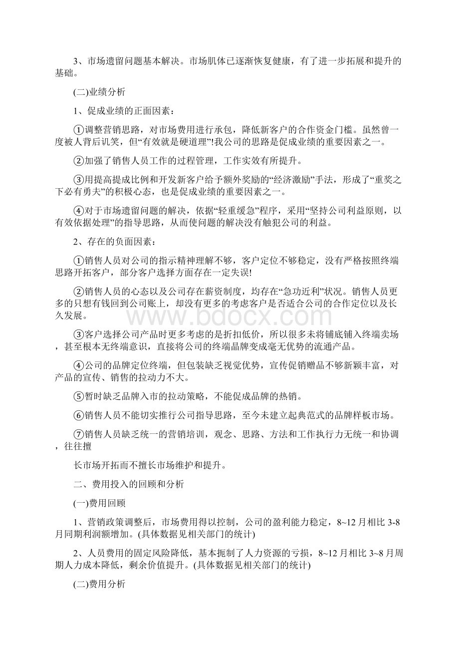 销售总监工作总结pptWord文档格式.docx_第3页