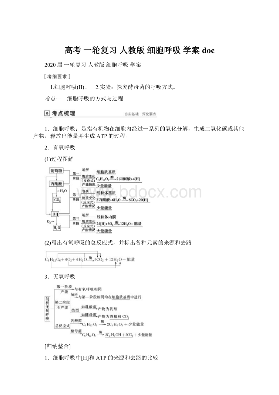 高考 一轮复习 人教版 细胞呼吸 学案docWord格式.docx_第1页