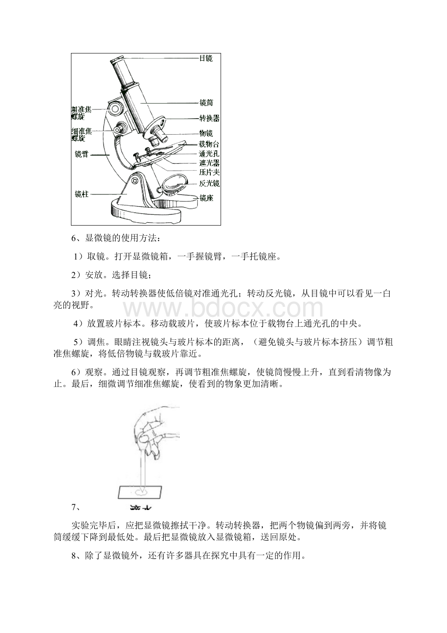 生物七上总复习知识点.docx_第2页