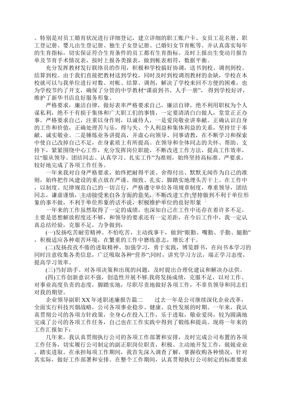 企业领导副职XX年述职述廉报告Word文档格式.docx_第2页