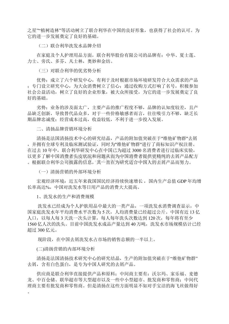 新清扬针对后市场品牌策划方案.docx_第2页