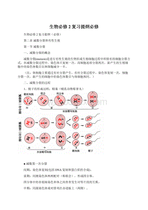 生物必修2复习提纲必修.docx