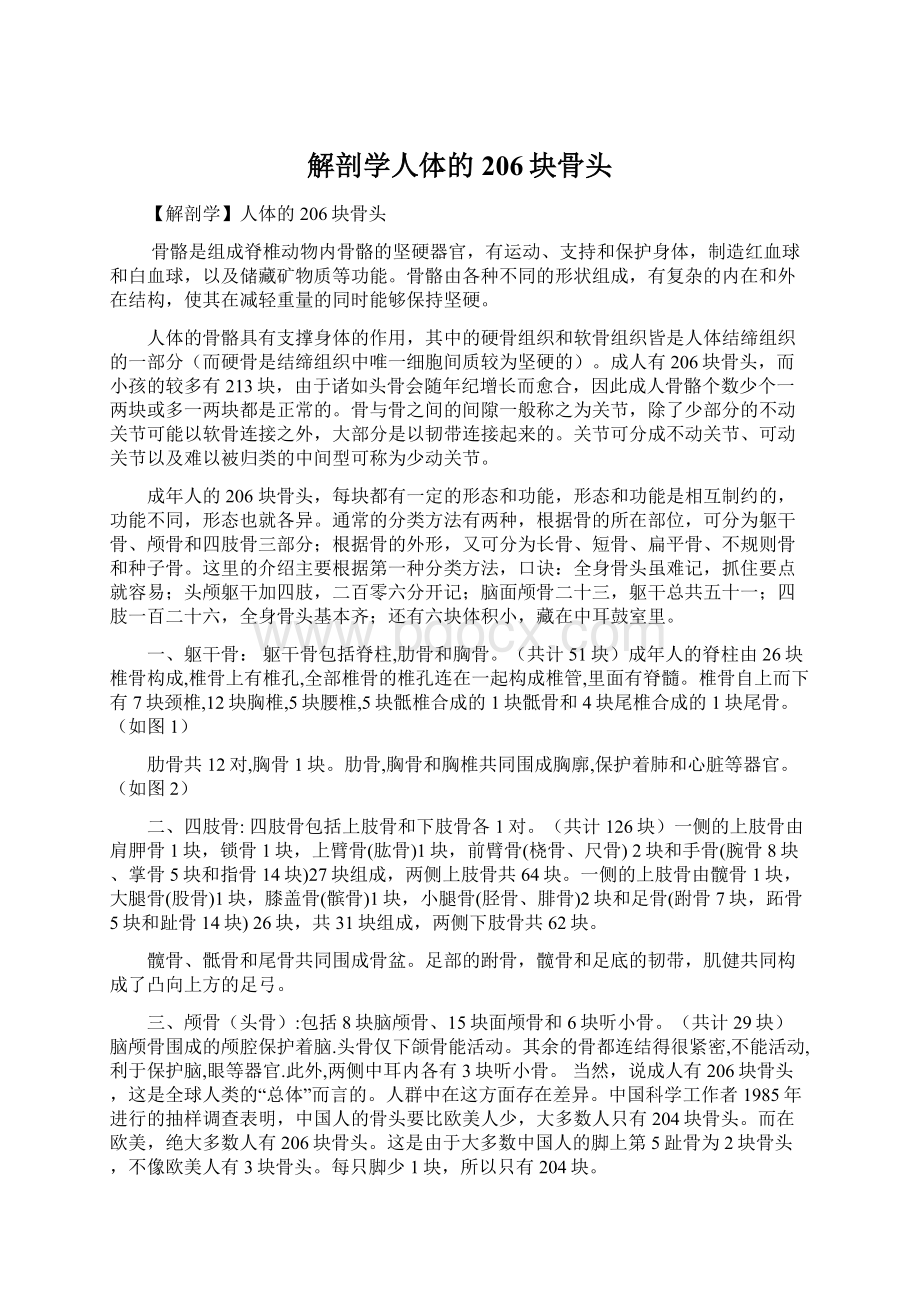 解剖学人体的206块骨头Word文档下载推荐.docx_第1页