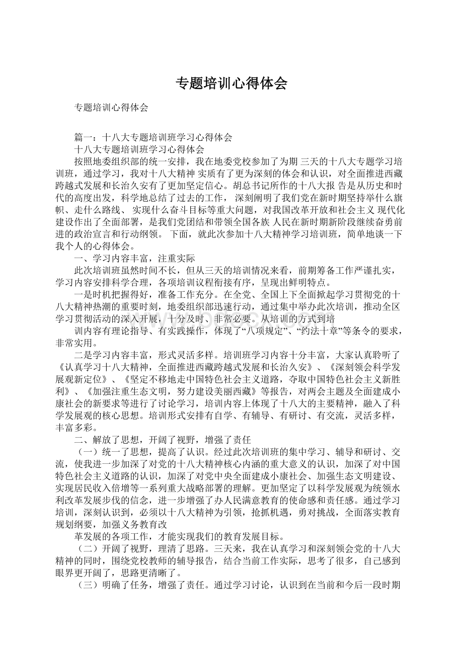 专题培训心得体会Word文档格式.docx