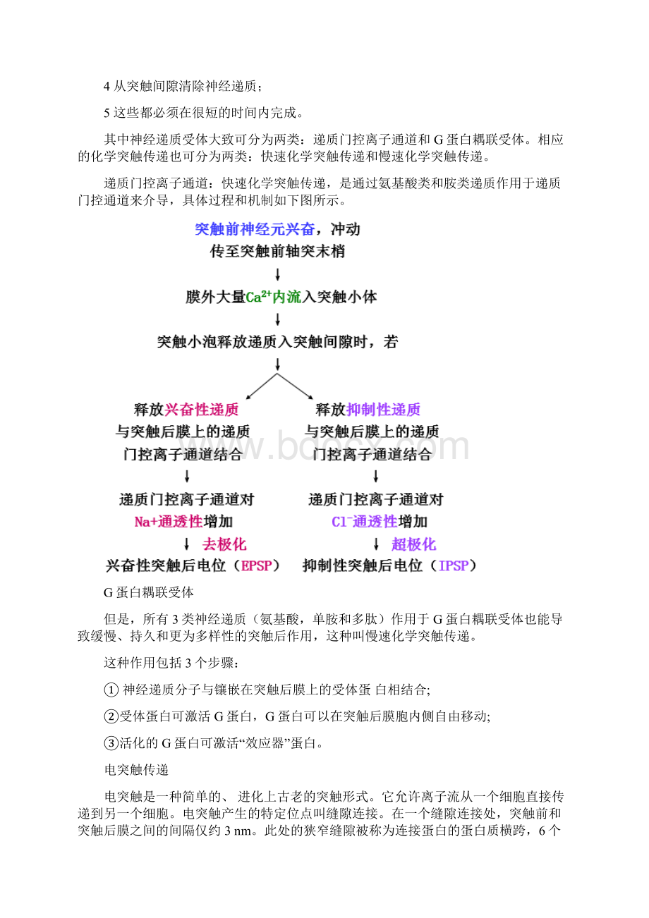 神经科学部分考试试题的整理稿.docx_第3页