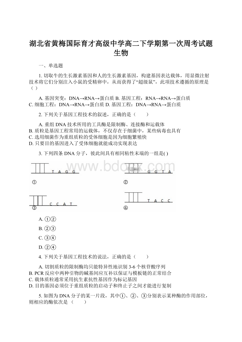 湖北省黄梅国际育才高级中学高二下学期第一次周考试题生物.docx