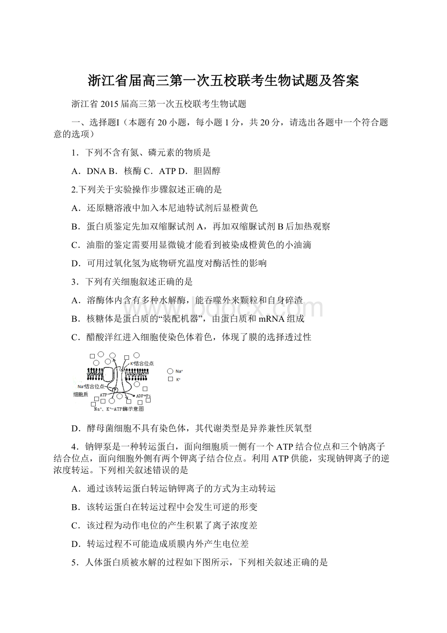 浙江省届高三第一次五校联考生物试题及答案.docx_第1页