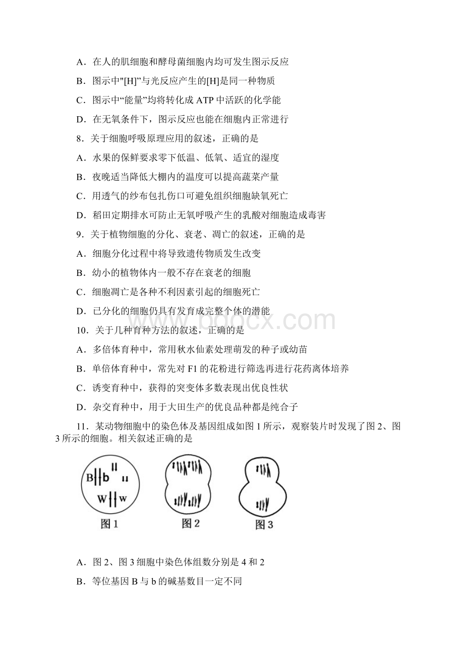 福建省福州市第八中学届高三上学期第四次质量检查生物试题 Word版含答案Word文档格式.docx_第3页