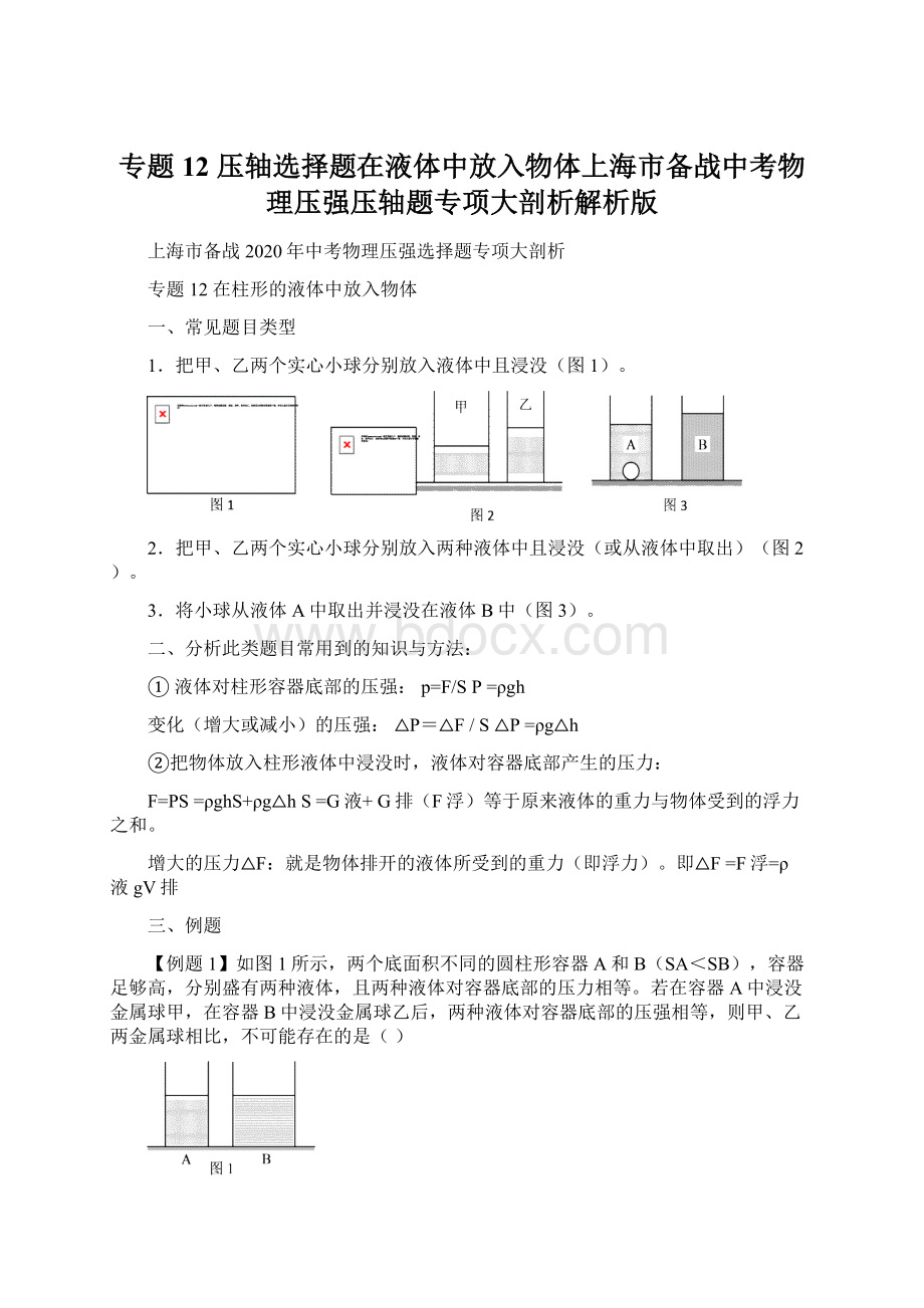 专题12 压轴选择题在液体中放入物体上海市备战中考物理压强压轴题专项大剖析解析版.docx_第1页