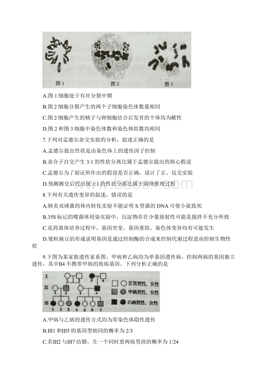 江苏南京市届高三第三次模拟考试生物试题Word文件下载.docx_第3页