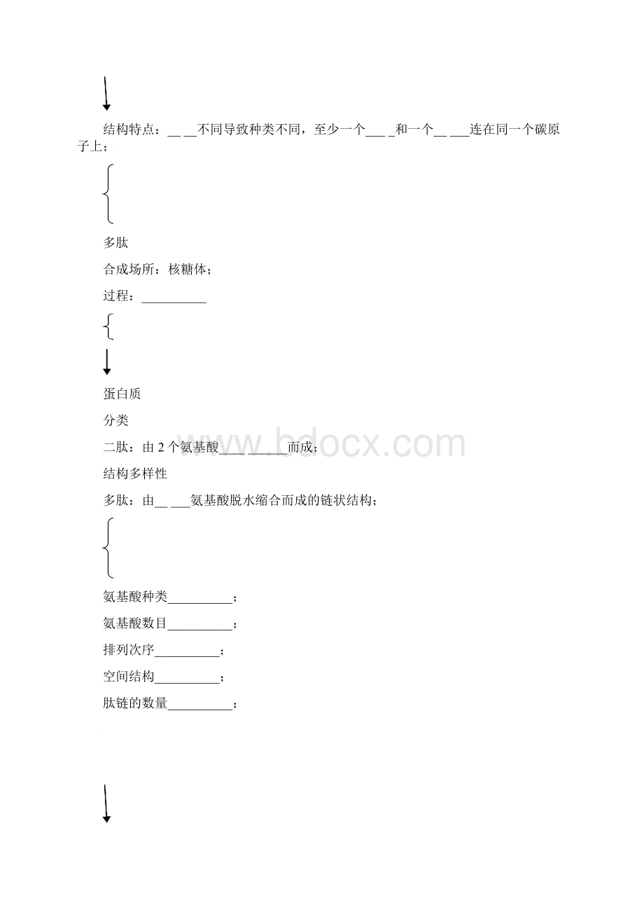 蛋白质一轮复习学案.docx_第3页