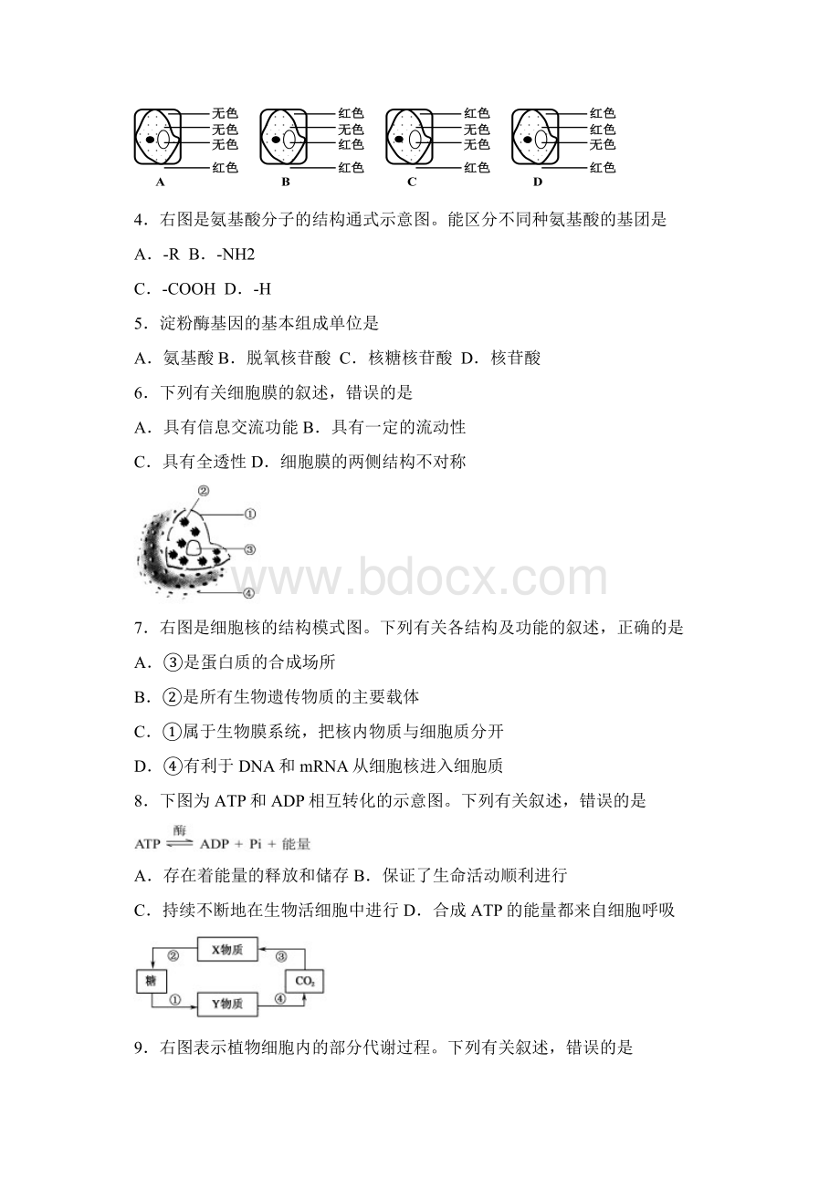 江苏省高二学业水平测试盐城联考试题生物.docx_第2页