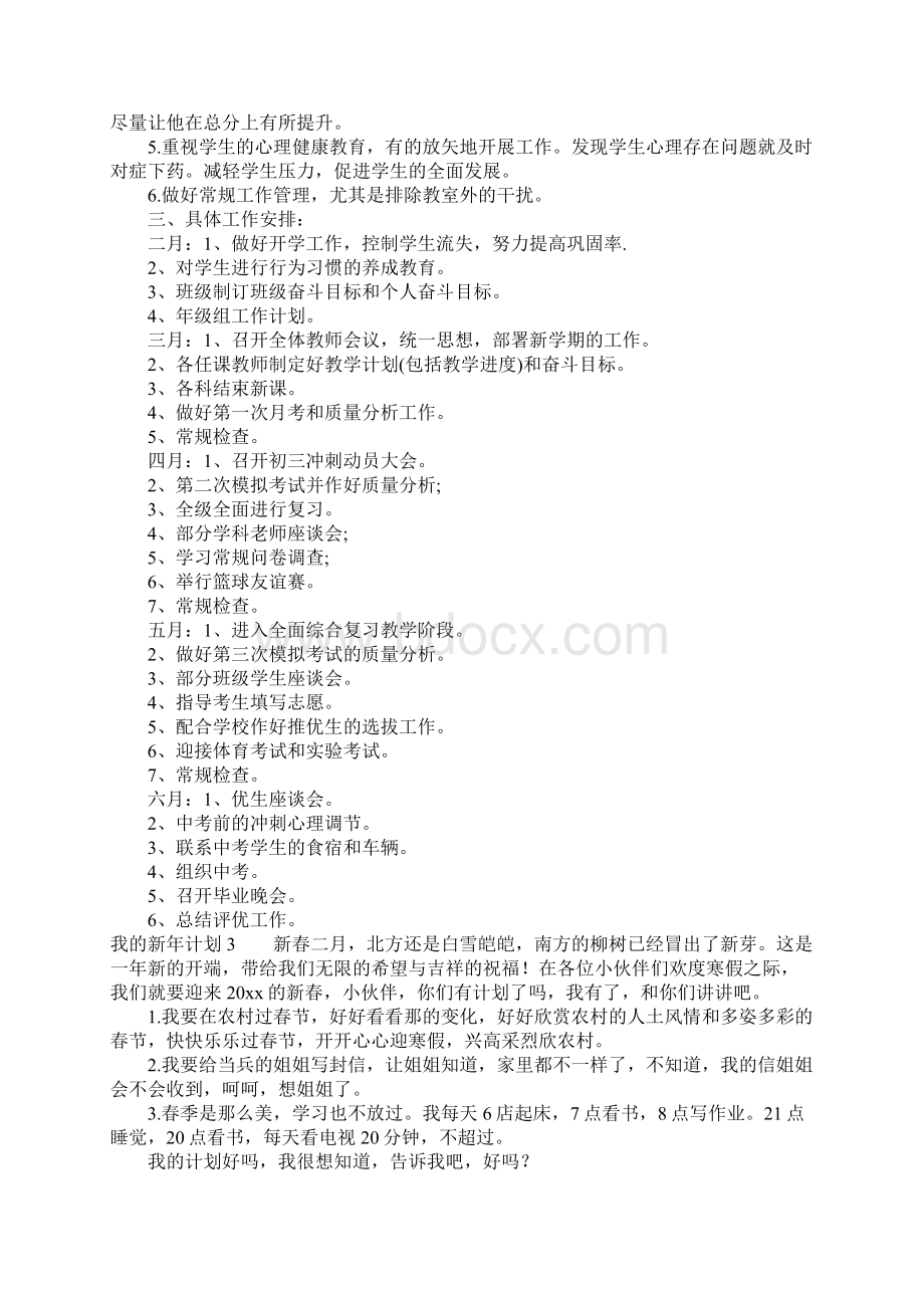 我的新年计划15篇文档格式.docx_第3页