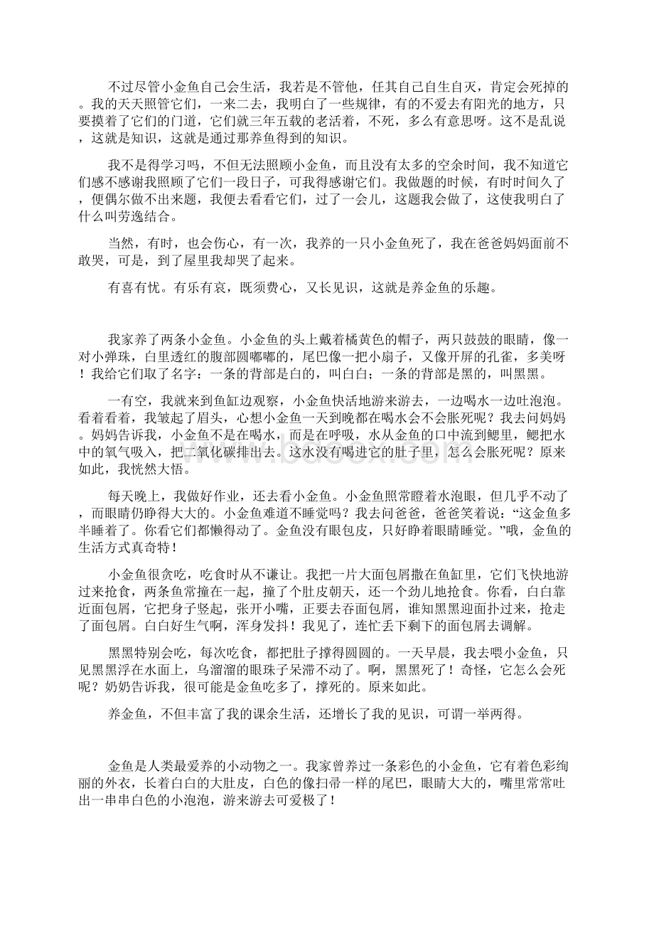 养金鱼的启示小学作文500字600字.docx_第2页