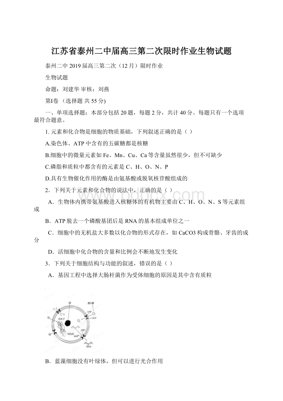 江苏省泰州二中届高三第二次限时作业生物试题.docx