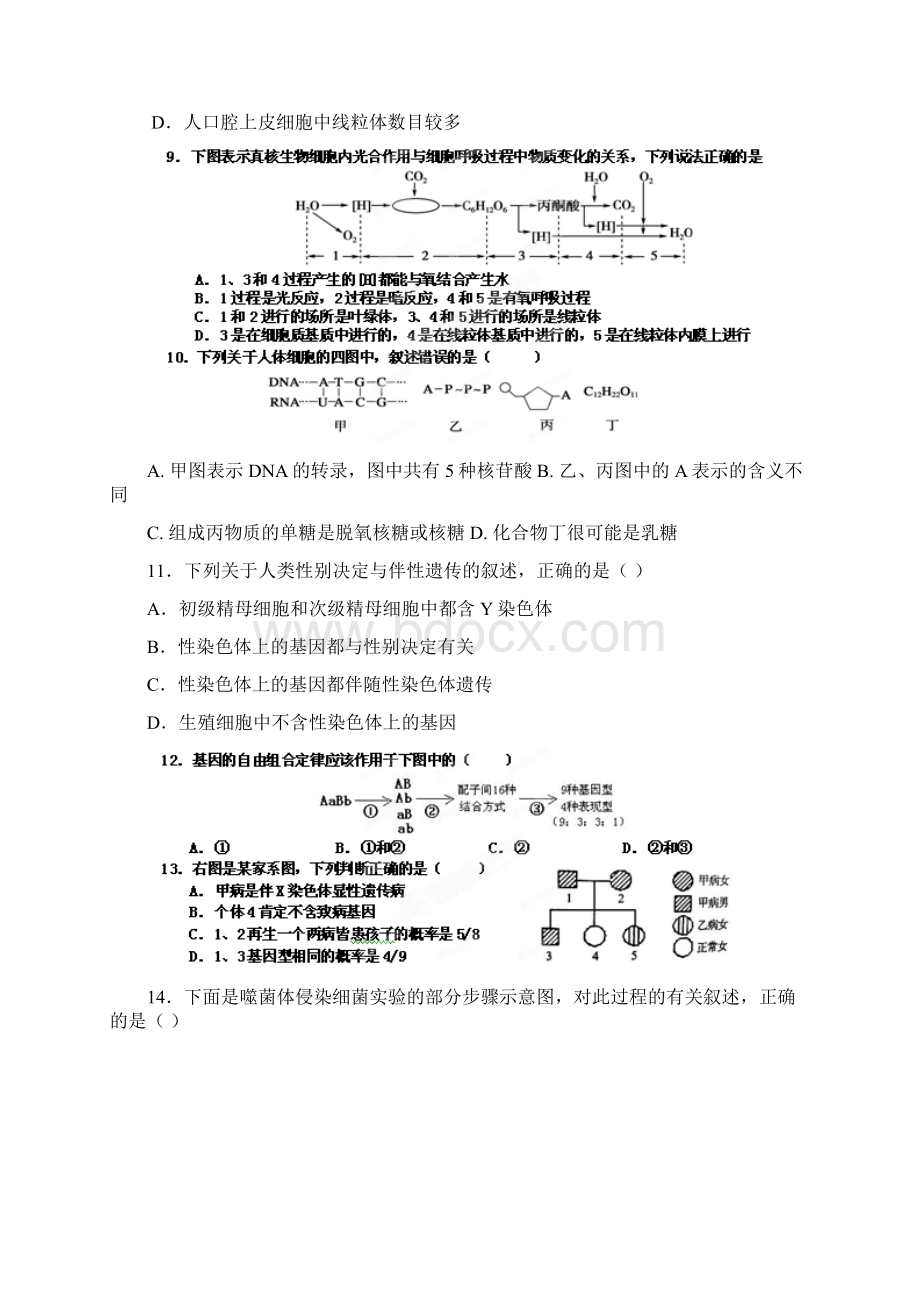 江苏省泰州二中届高三第二次限时作业生物试题Word文件下载.docx_第3页