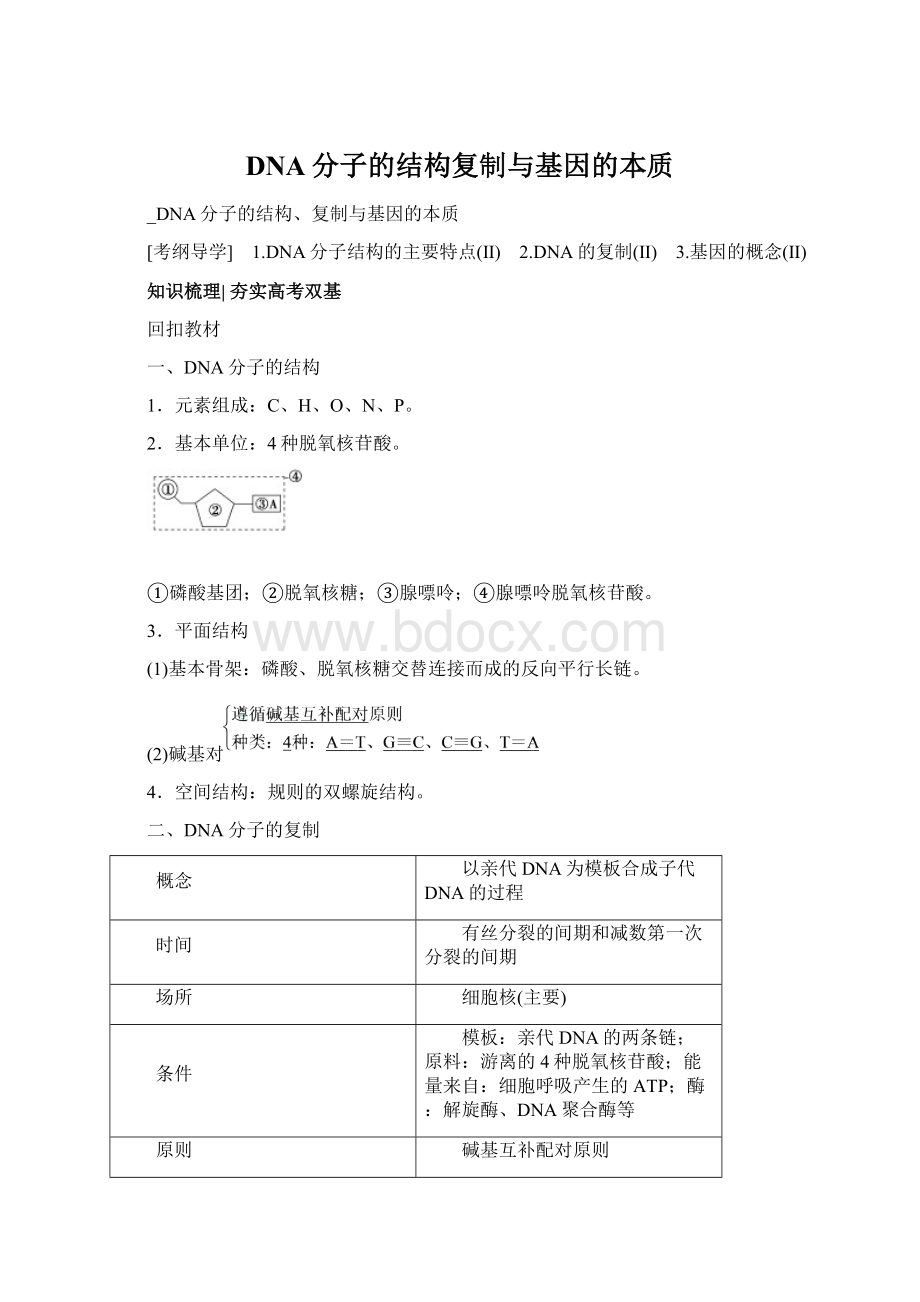 DNA分子的结构复制与基因的本质Word文件下载.docx