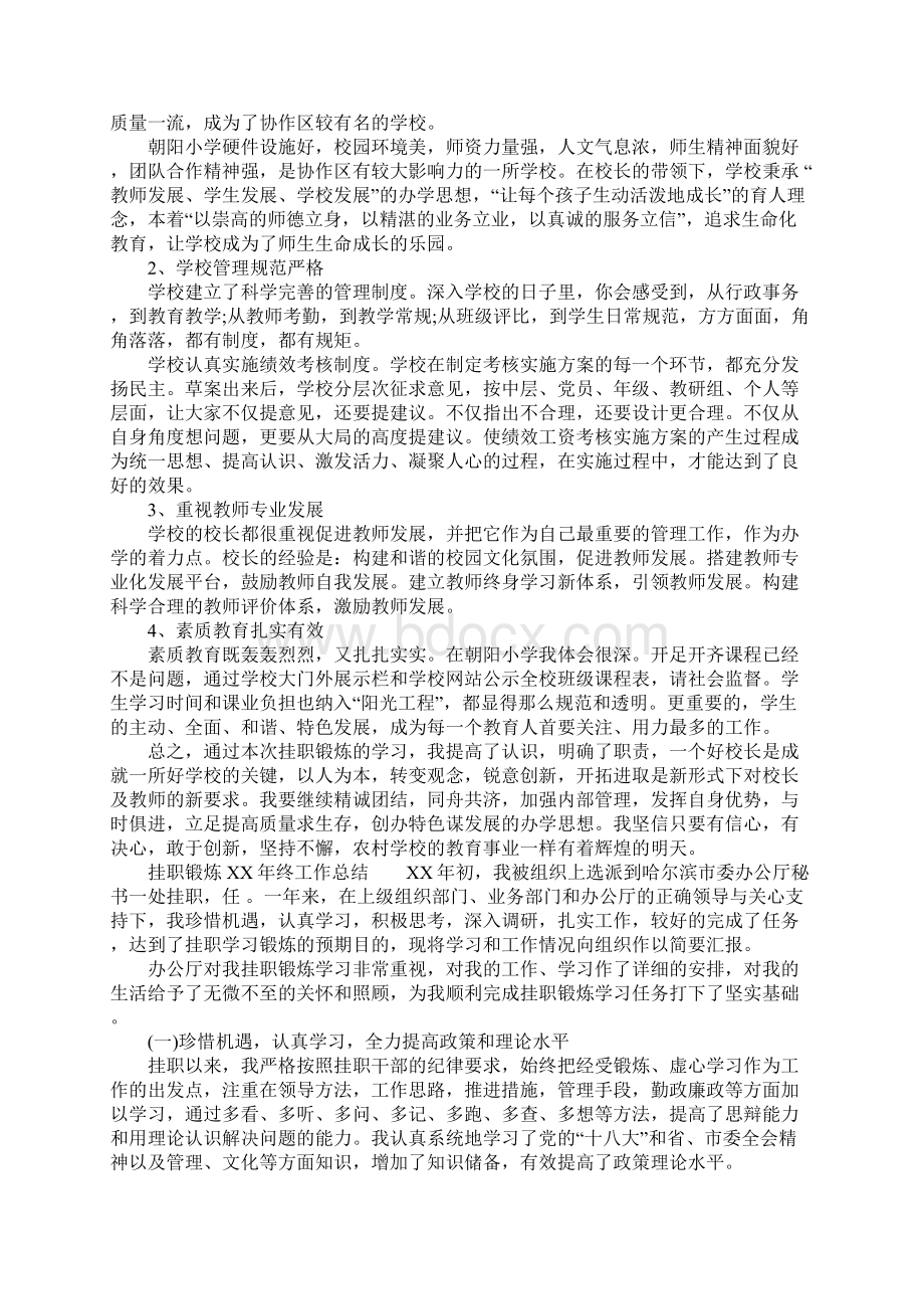 挂职锻炼XX年终工作总结.docx_第2页