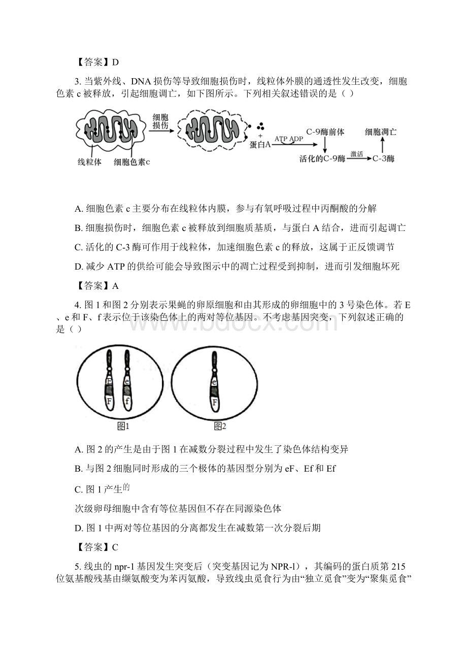 届山东省日照市高三一模生物试题Word格式文档下载.docx_第2页