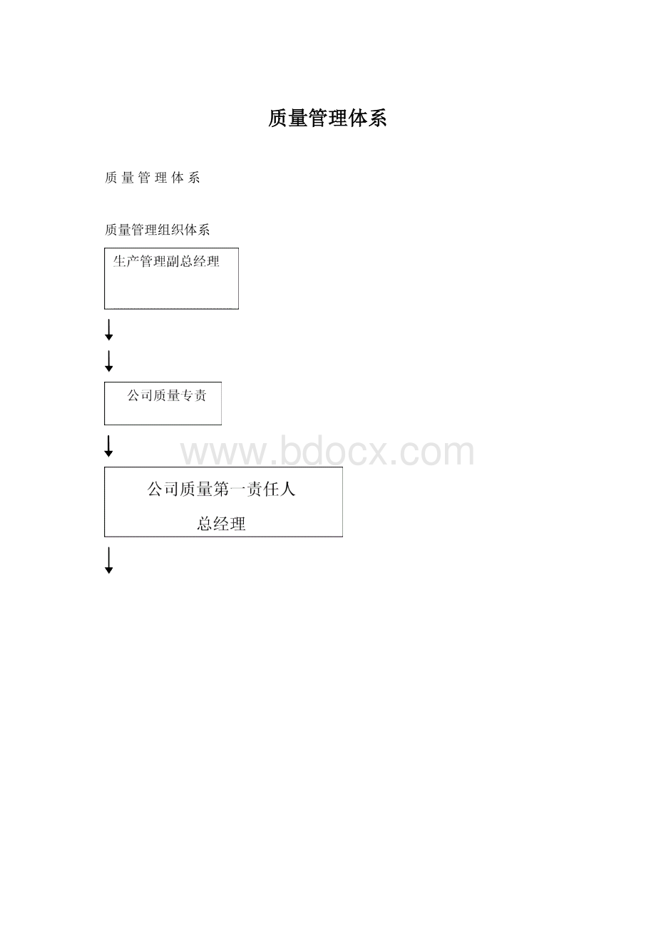 质量管理体系Word格式.docx