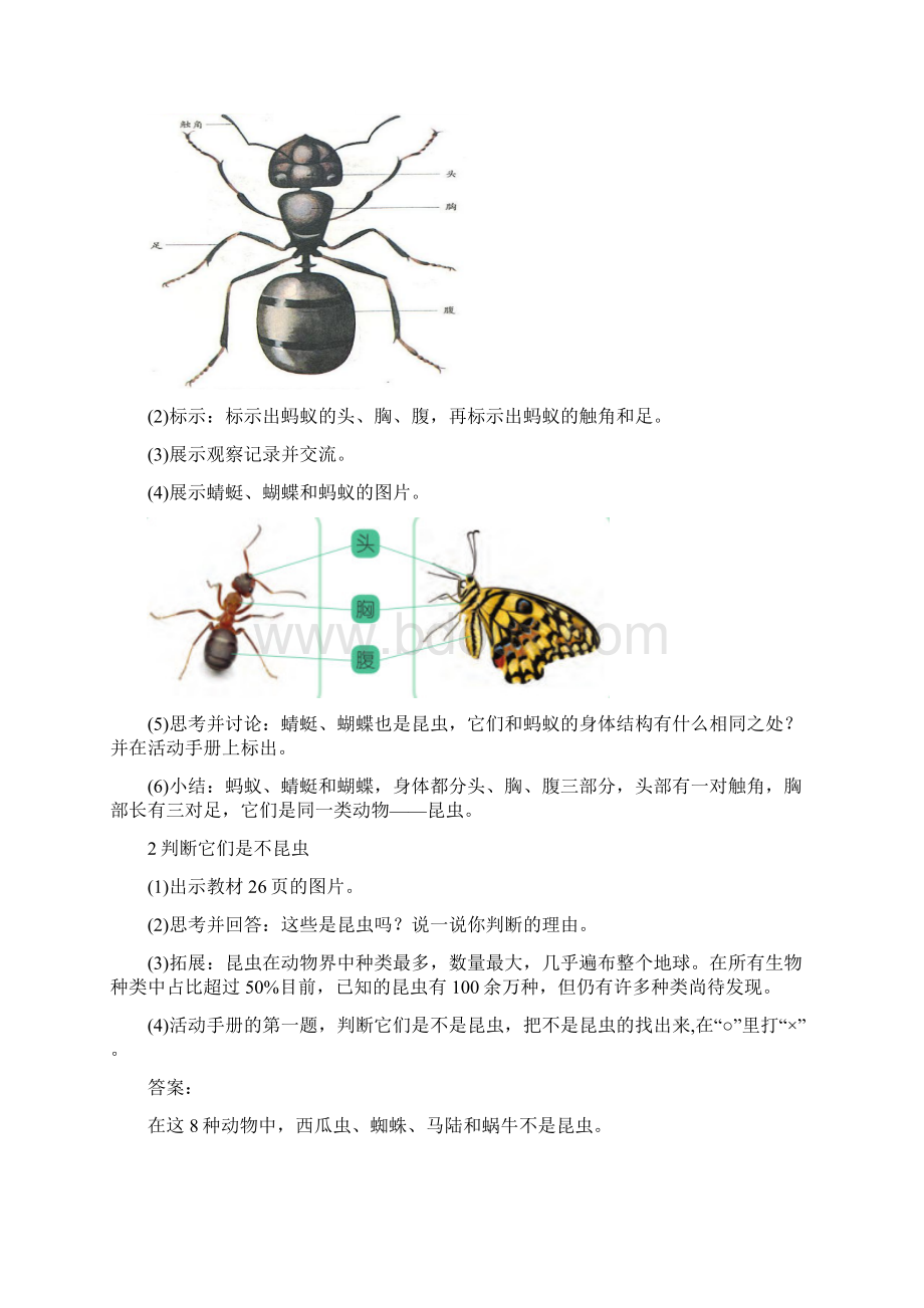 新苏教版科学四年级下册第3单元教案Word格式文档下载.docx_第3页