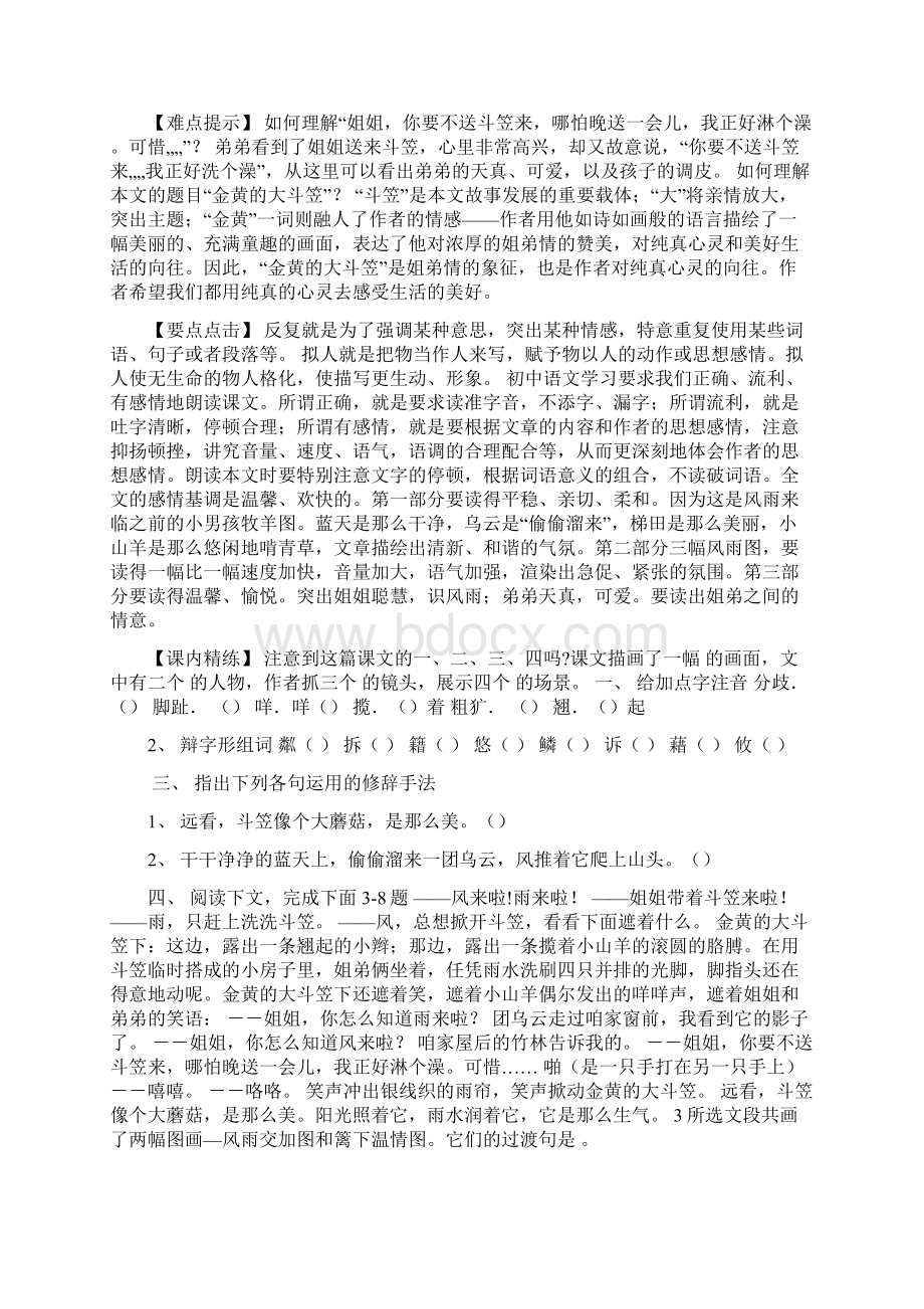 语文六年级《金黄的大斗笠》《散步》精锐.docx_第2页