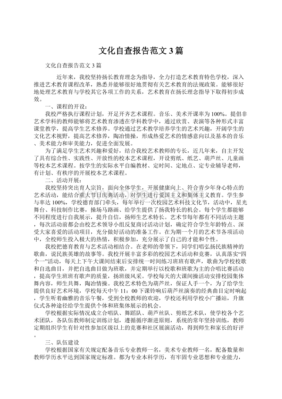 文化自查报告范文3篇.docx