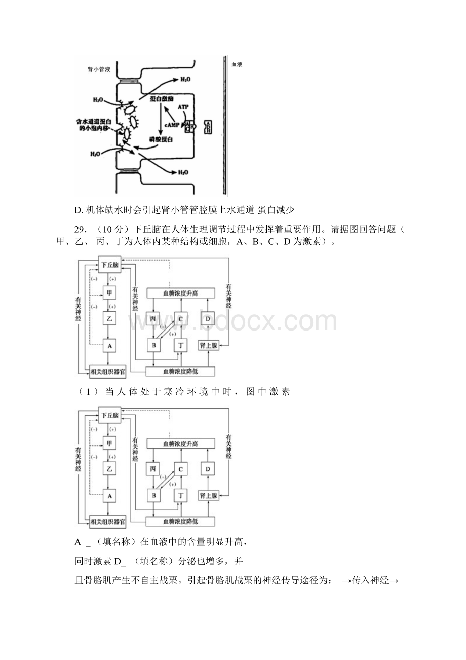 河北省衡水中学届高三下学期第5周周考理综生物试题 Word版含答案.docx_第3页