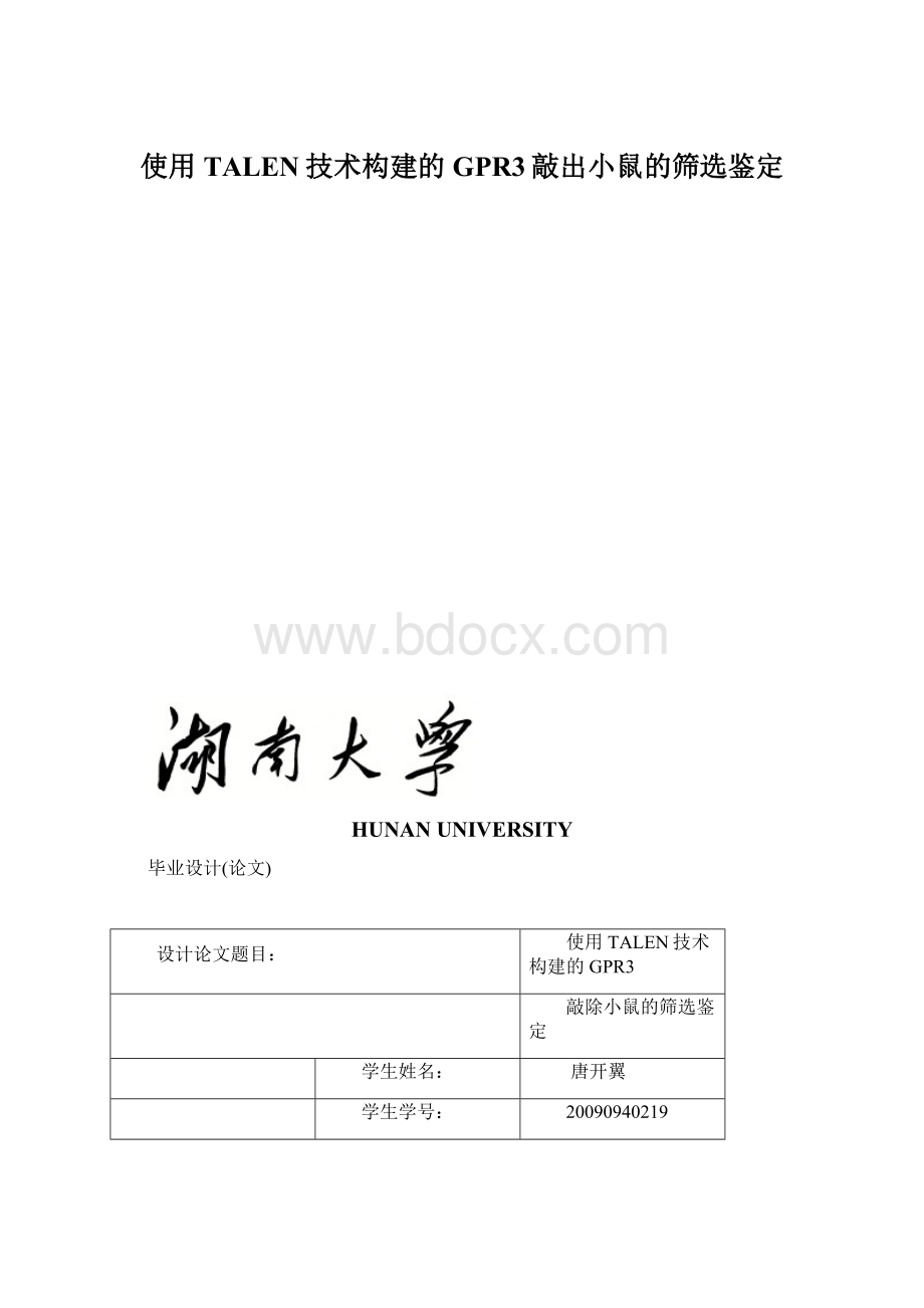 使用TALEN技术构建的GPR3敲出小鼠的筛选鉴定.docx_第1页