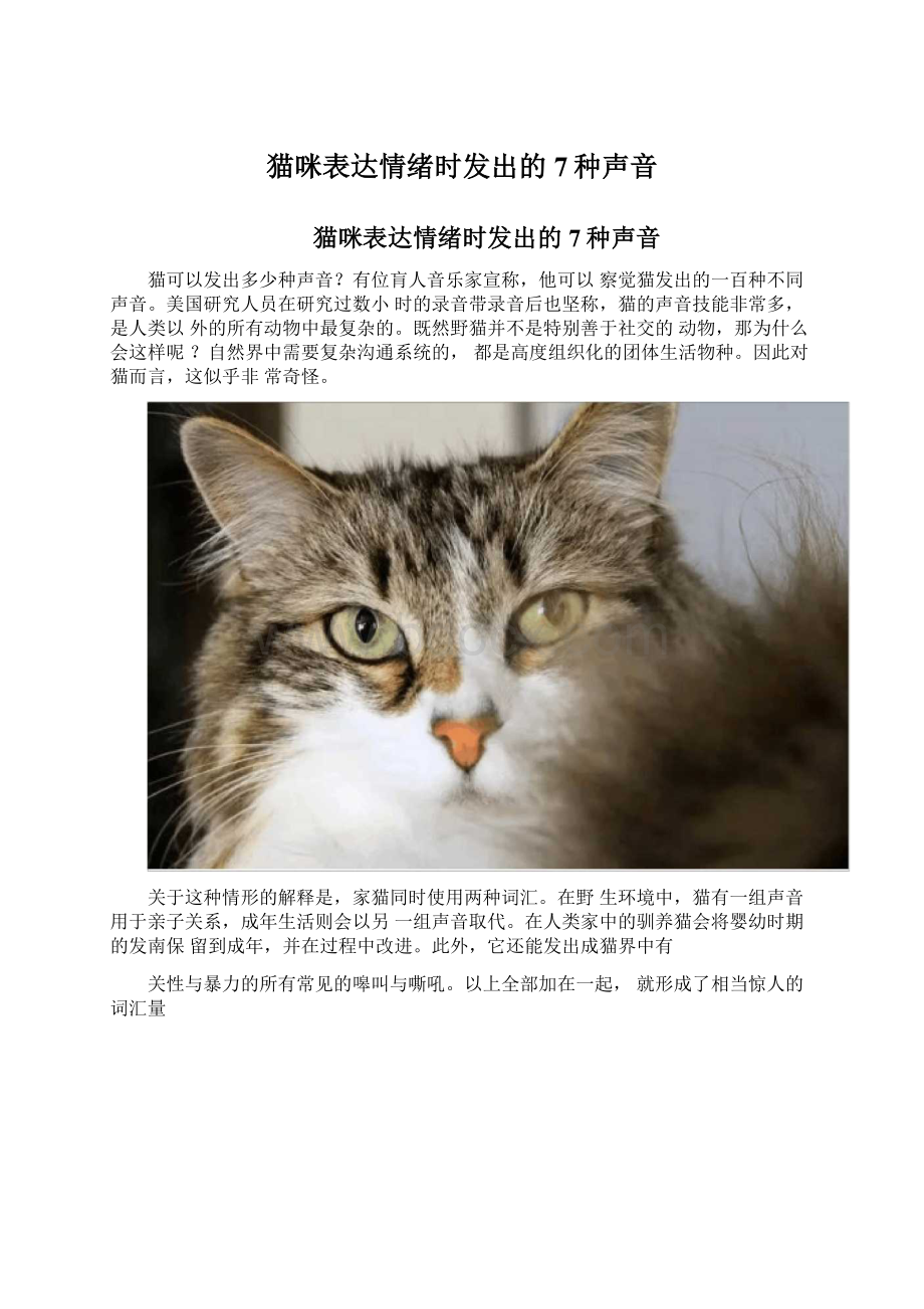 猫咪表达情绪时发出的7种声音.docx