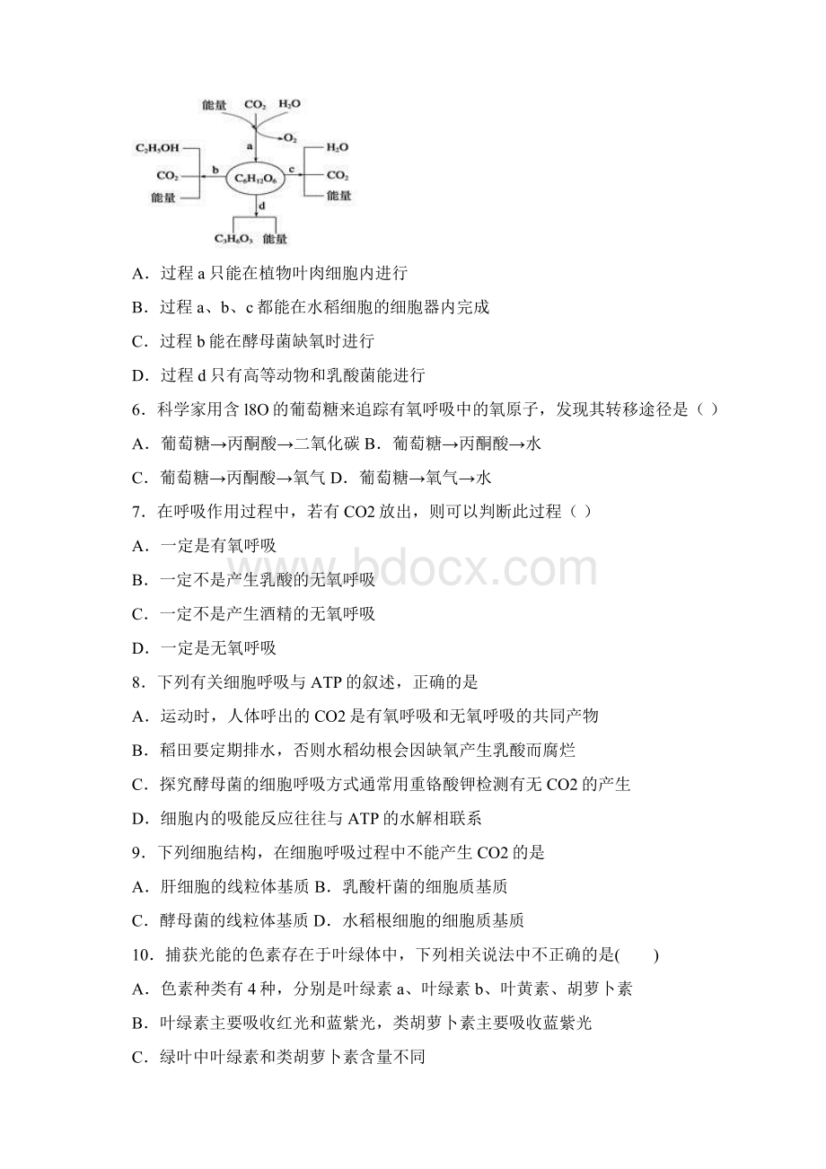 学年高一下学期第一次月考生物试题含答案解析Word格式.docx_第2页